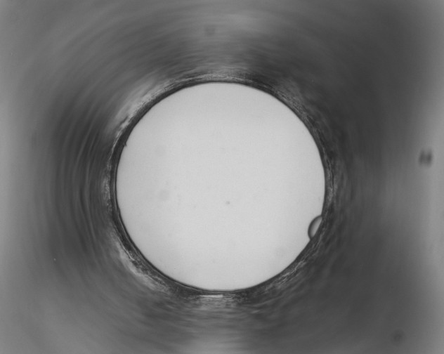 X0000115500050200912041047