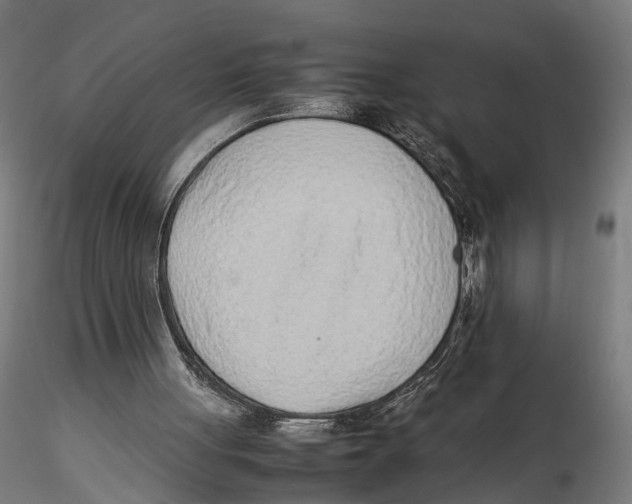 X0000115500051200912041047