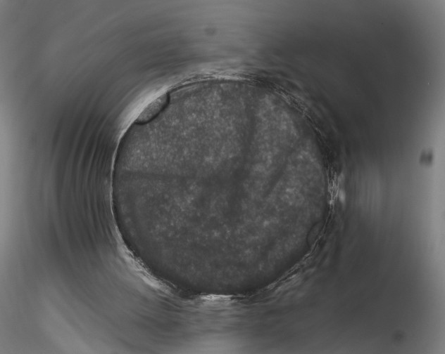X0000115500052200912041047