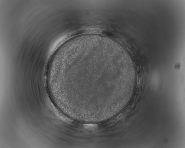 X0000115500053200912041047