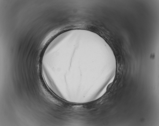 X0000115500054200912041047