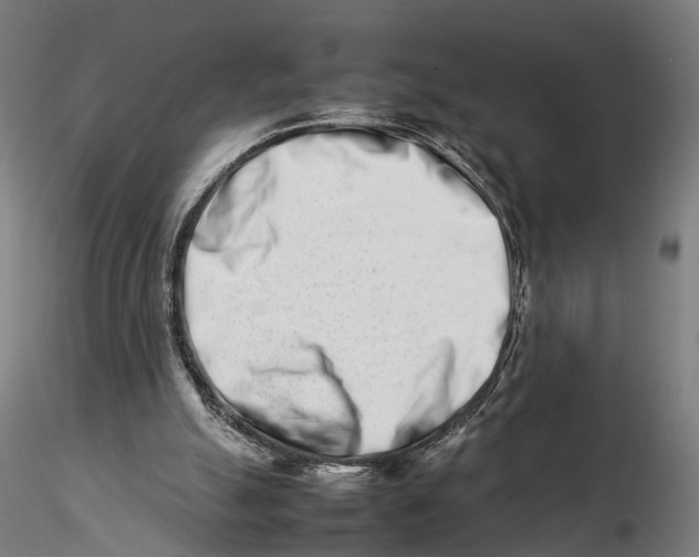 X0000115500055200912041047
