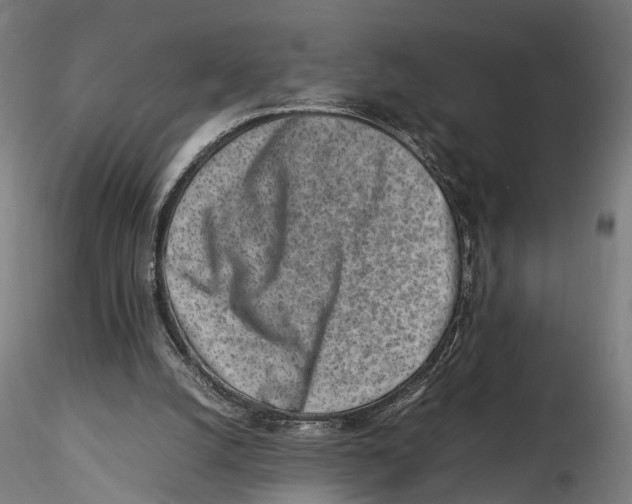 X0000115500056200912041047