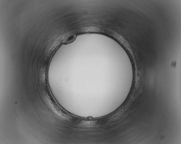X0000115500057200912041047