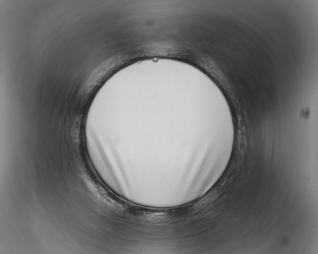X0000115500058200912041047