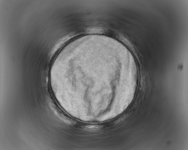 X0000115500059200912041047
