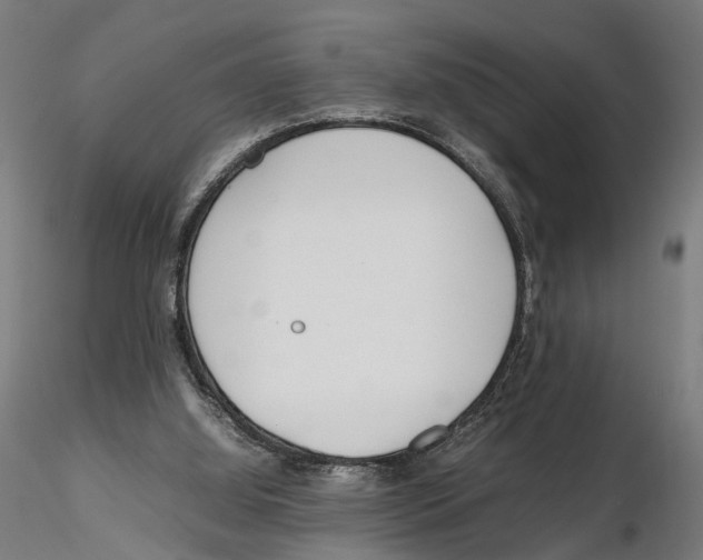 X0000115500060200912041047