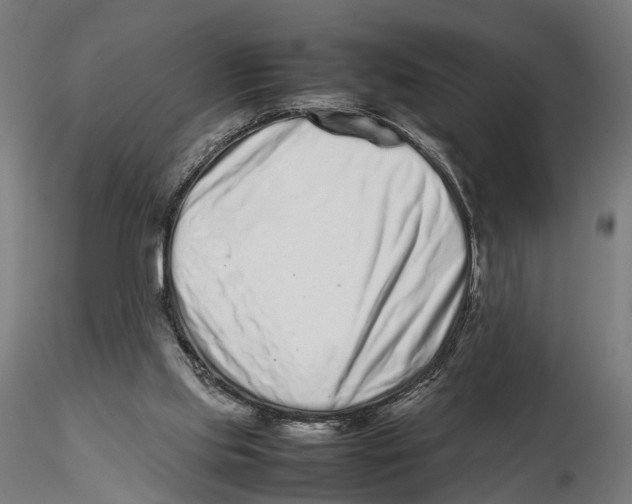 X0000115500061200912041047