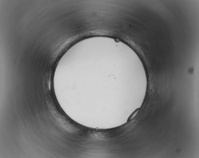X0000115500062200912041047