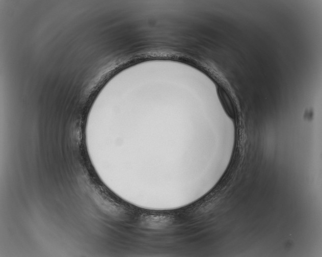 X0000115500063200912041047