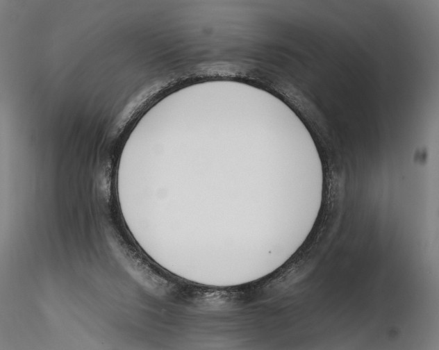 X0000115500064200912041047