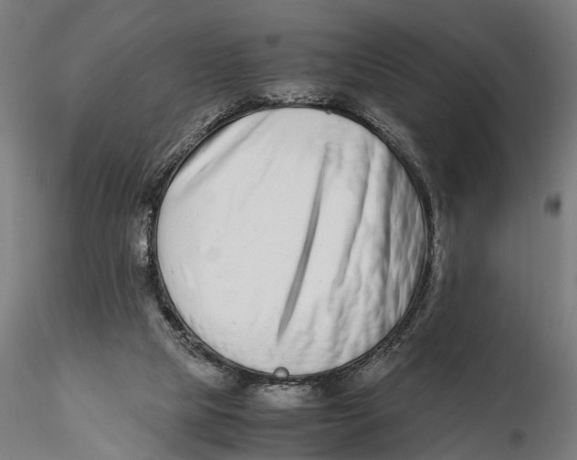 X0000115500065200912041047