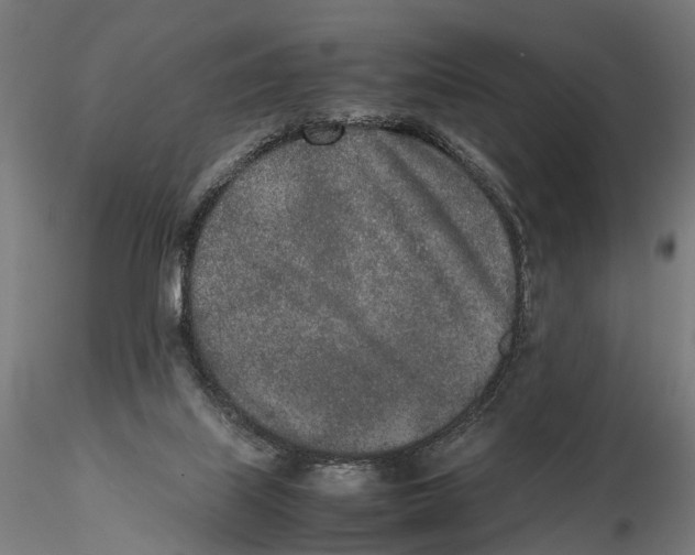 X0000115500067200912041047