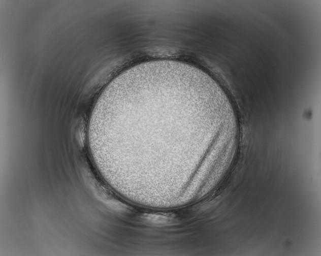 X0000115500069200912041047