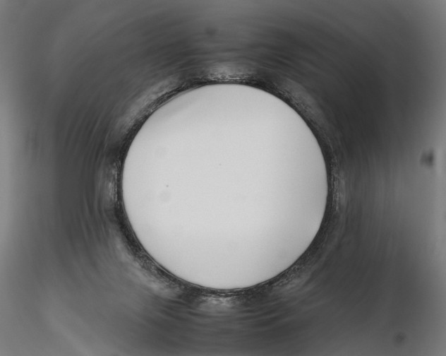 X0000115500071200912041047