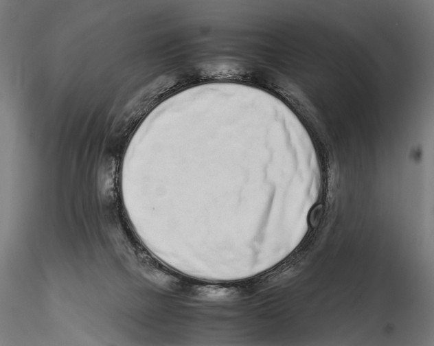 X0000115500073200912041047