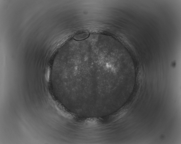 X0000115500076200912041047