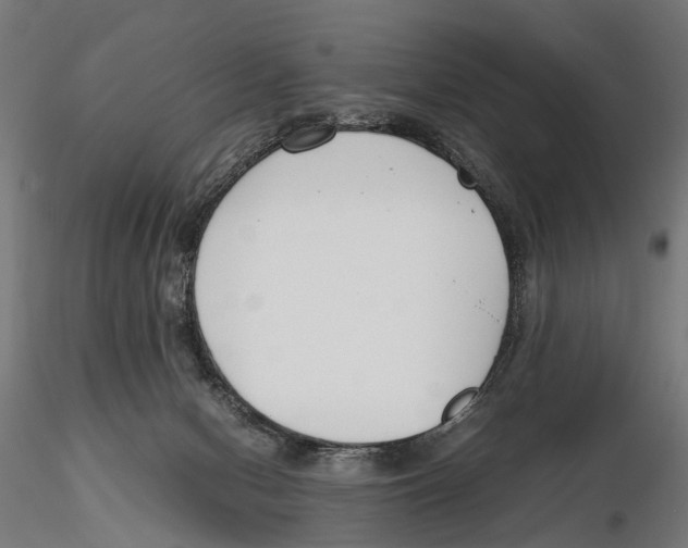X0000115500078200912041047