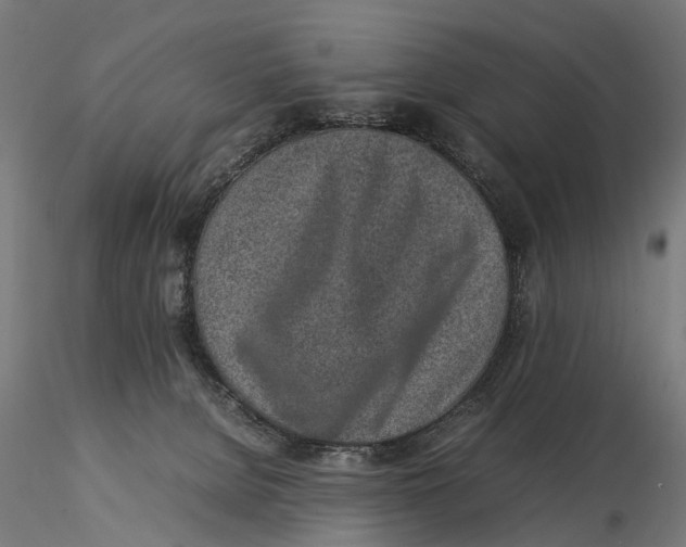 X0000115500080200912041047