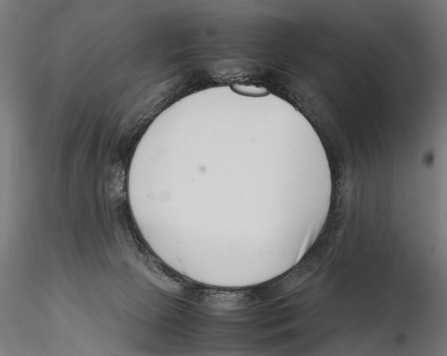 X0000115500081200912041048