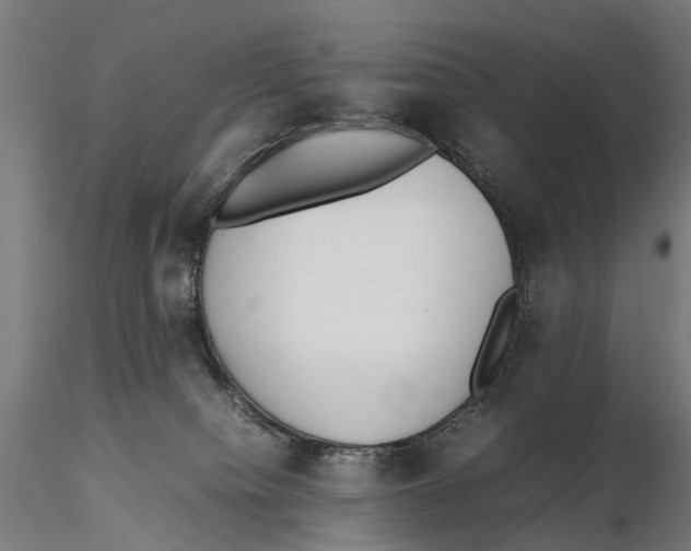 X0000115500084200912041048