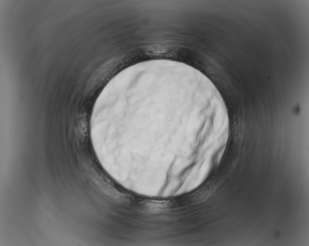 X0000115500085200912041048