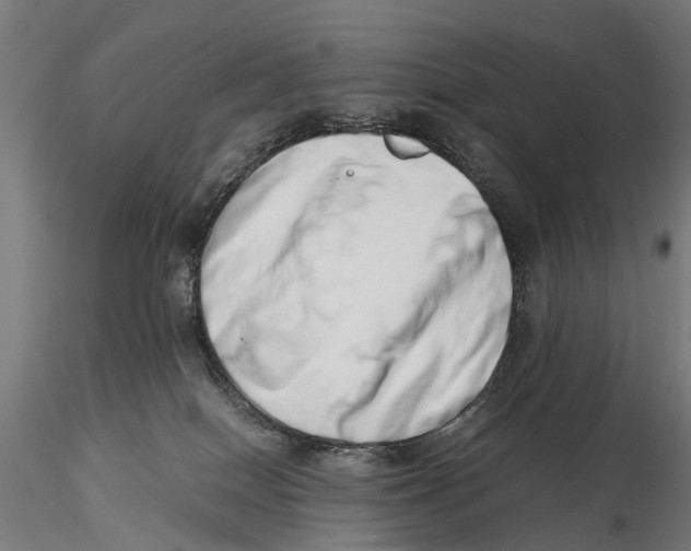 X0000115500086200912041048
