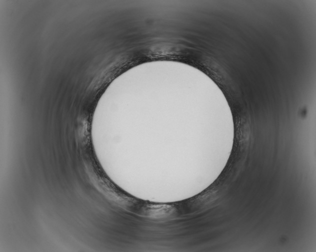X0000115500087200912041048