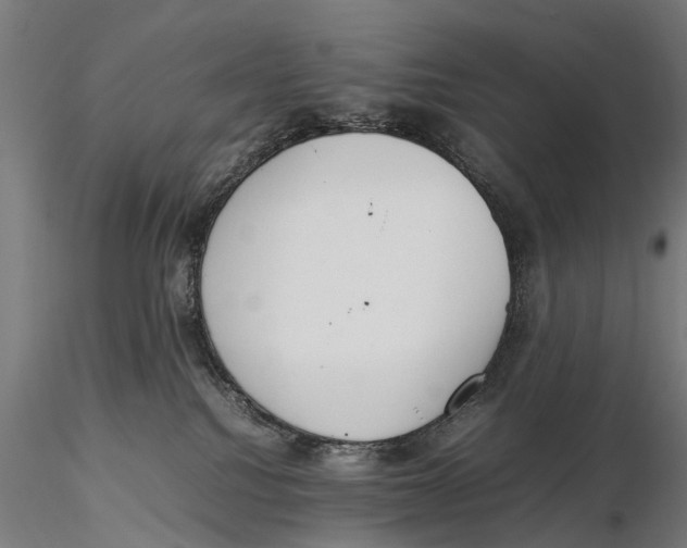 X0000115500088200912041048