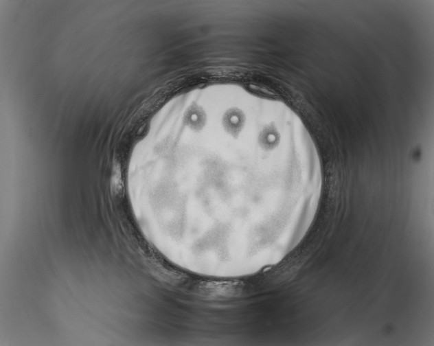 X0000115500089200912041048