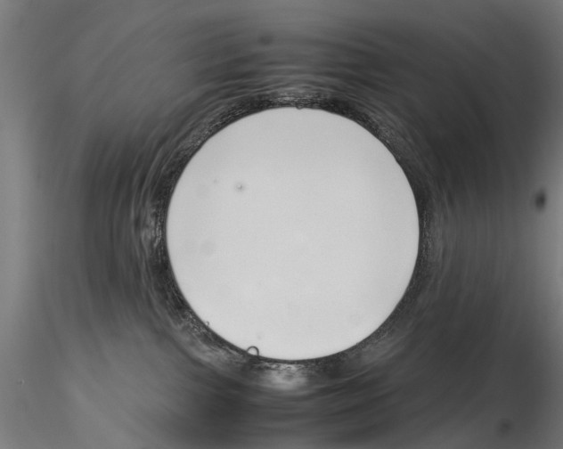 X0000115500091200912041048