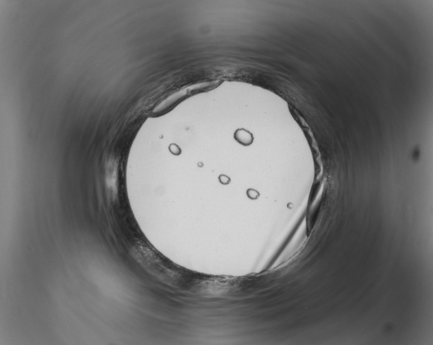 X0000115500094200912041048