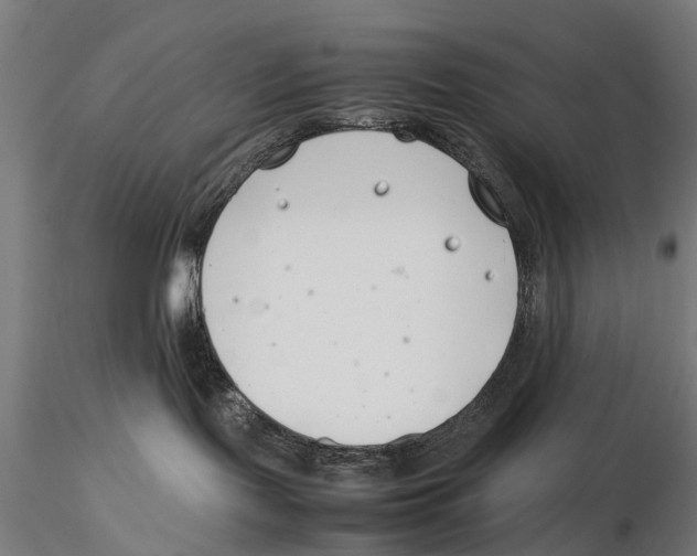 X0000115500095200912041048