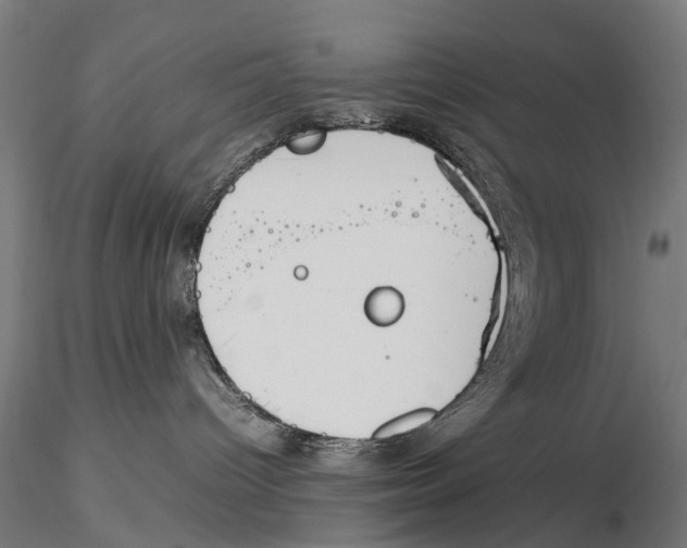 X0000115500096200912041048