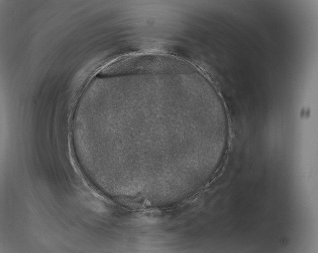X0000115500097200912041047