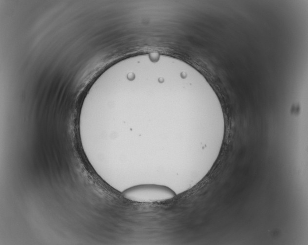 X0000115500098200912041047