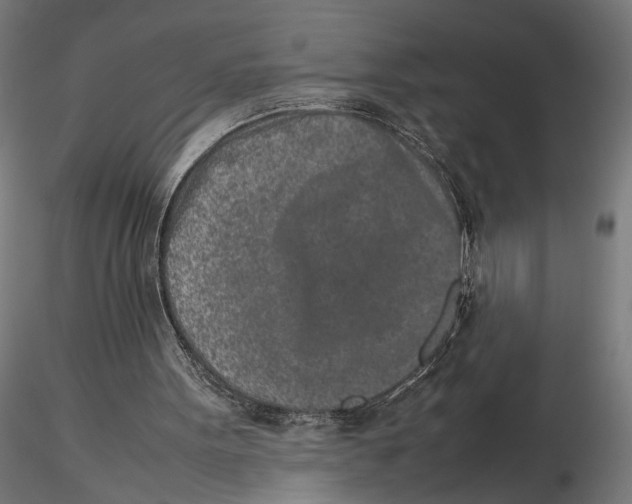X0000115500099200912041047