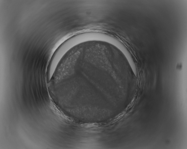 X0000115500100200912041047