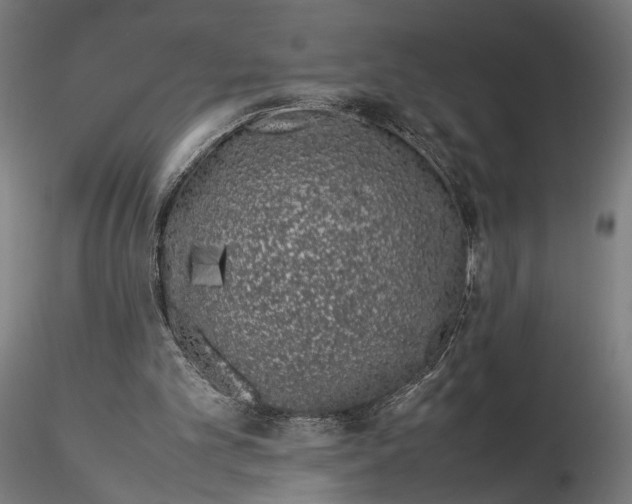 X0000115500101200912041047