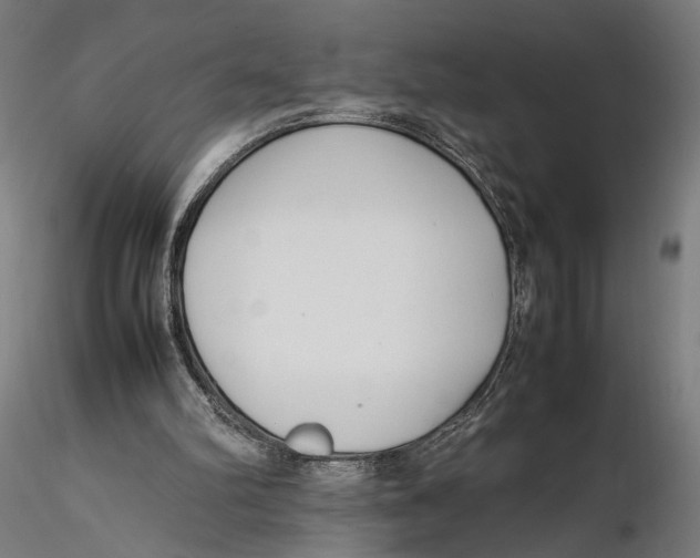 X0000115500102200912041047