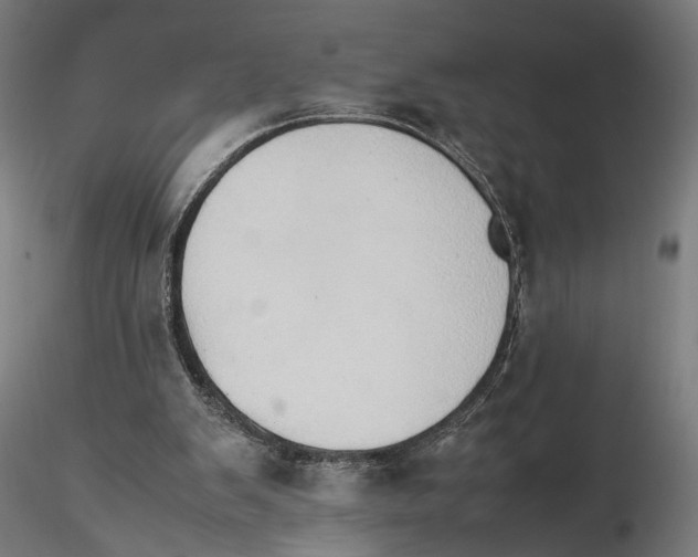 X0000115500103200912041047