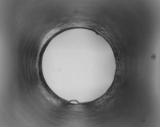 X0000115500104200912041047