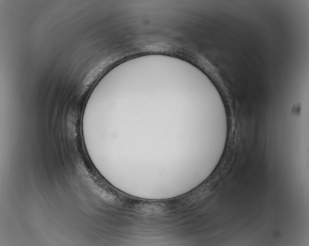 X0000115500106200912041047