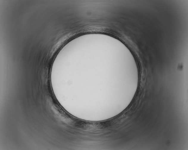 X0000115500107200912041047