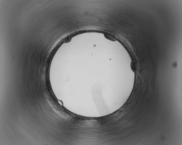 X0000115500108200912041047