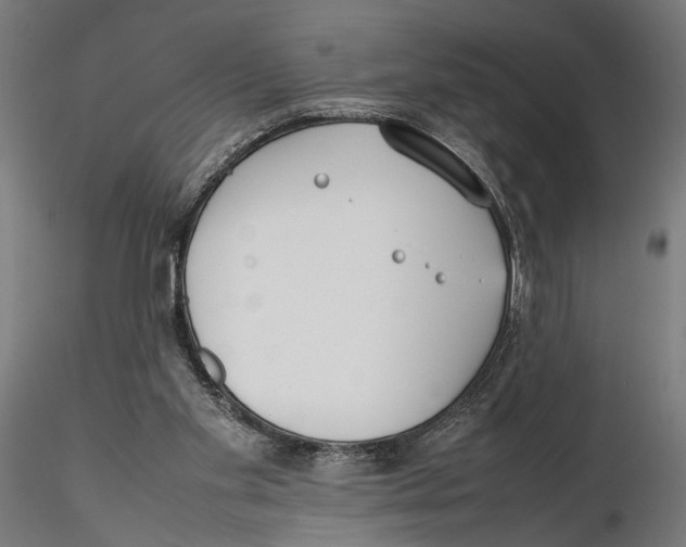 X0000115500109200912041047