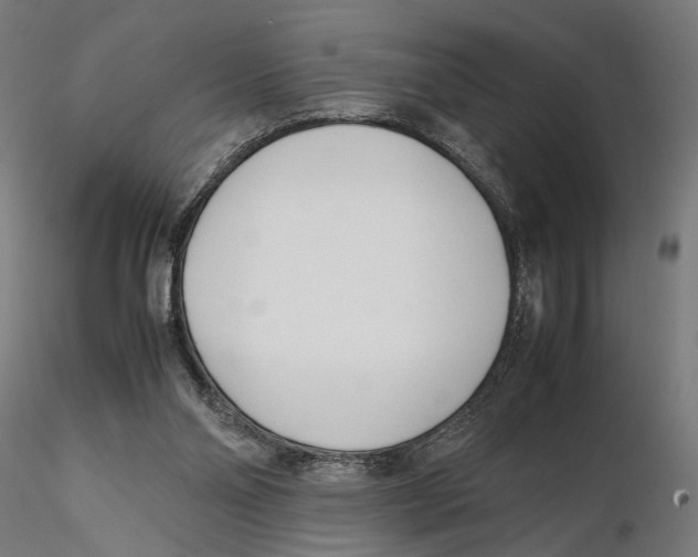 X0000115500110200912041047