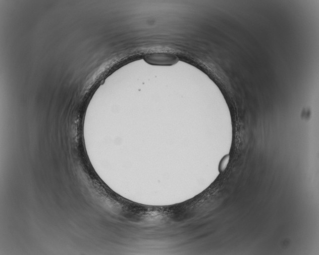 X0000115500111200912041047
