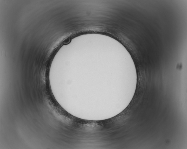 X0000115500112200912041047