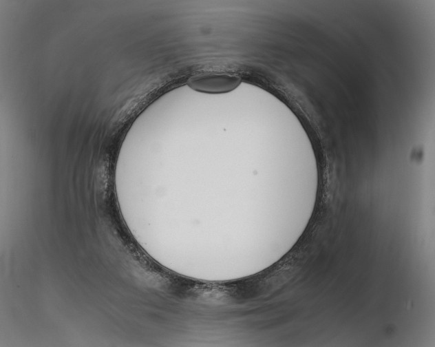 X0000115500113200912041047